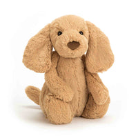 
              Jellycat Bashful Toffee Puppy Medium Rockabeez Gifts and Toys
            